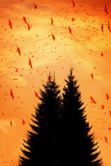 Silhouettes of two fir trees against the sunset sky and a flock of flying birds against the sky. Fantasy photo.
