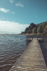 Fototapeta na wymiar A pier with people bathing with a background of green trees and a sky with clouds. (vertical)