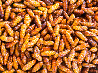 Fried bug in a pan insects popular snack street food in Thailand,Laos and Cambodia,ASIA.