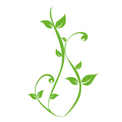 green plants tendril on white background vector illustration EPS10 © krissikunterbunt