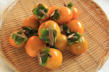 干し柿を作ろう