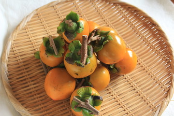 干し柿を作ろう