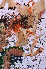 pencil shavings on wooden background