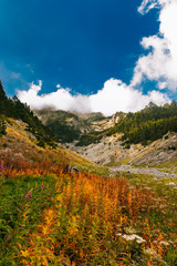 Autumn in mount olympus