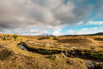 View to the volcano Cotopaxi with snowy peak in a rough landscape, Cotopaxi National Park, Ecuador, South America