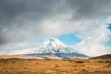 Fototapeta premium View to the volcano Cotopaxi with snowy peak in a rough landscape, Cotopaxi National Park, Ecuador, South America