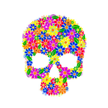 Painting skull flowers isolated on black, color symbol.