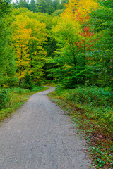 Fototapeta na wymiar Footpath and fall foliage colors, in Mont Tremblant National Park