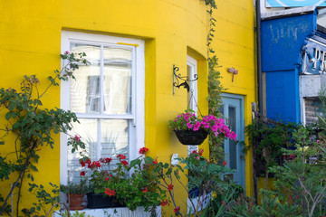 Fototapeta na wymiar Old yellow house with red roses and flowers in the window at a back street of Brighton, England.
