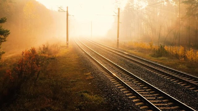 4k video, high quality. The drone slowly flies over the empty railroad running through the autumn forest at dawn, the rays of the sun cutting through the mist, creating a mystical atmosphere
