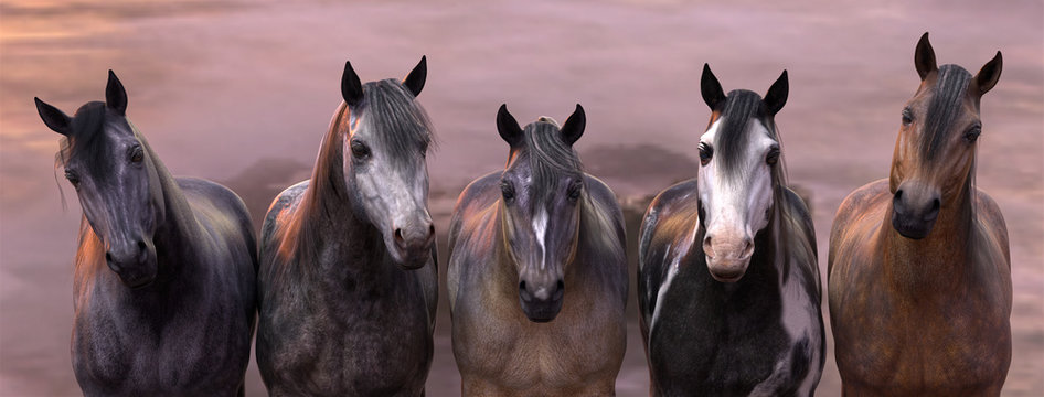 3d Illustration of a herd of horses with a soft sunset background