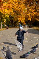 Fototapeta premium Little boy in overalls and a funny hat feeds pigeons in the park in autumn.