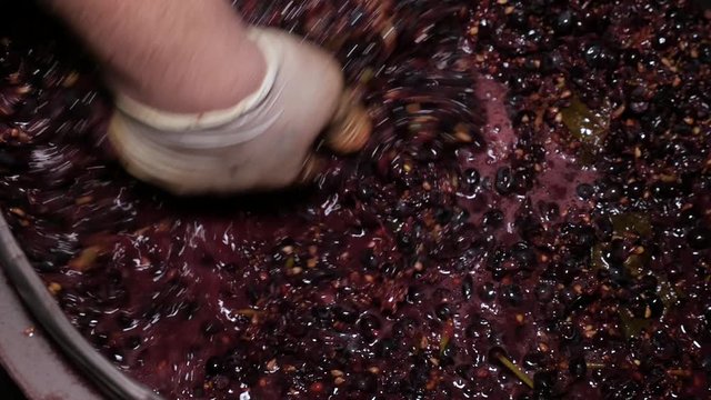 Manual grape separation in a barrel at a winery