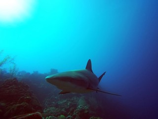 IlesTurquoisesSept2019