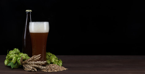 Home brewing concept. Craft beer with fresh green of hops and wheat and malt on dark wooden table. Black background. Empty space for text
