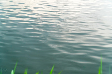 Reflection of golden sunset sky on the water surface.