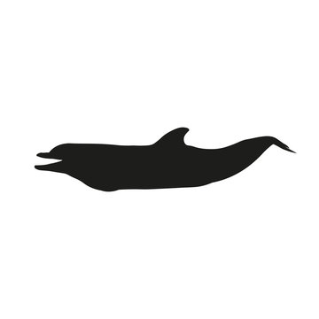Silhouette of dolphin, vector in flat style