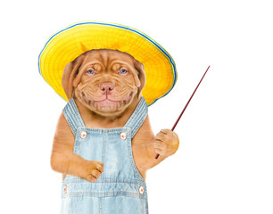 Smiling puppy farmer with summer hat and pointing stick points on empty space. isolated on white background