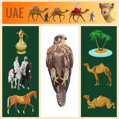 Set of vector images on the theme of the UAE