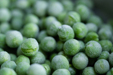 Shallow focus of freshly picked garden peas, having been frozen. Seen close-up, after being removed from a freezer, to maintain there freshness. Some of the pea shells have split open.