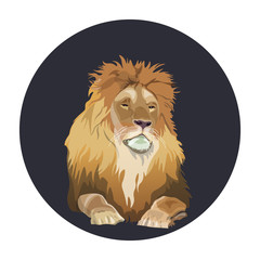 Portrait of lying lion in circle frame