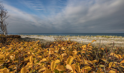 herbst am meer