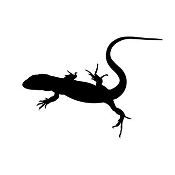 Silhouette of lizard, vector image in flat style