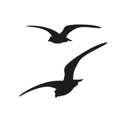 Fototapeta premium Flying seagulls, vector image in flat style