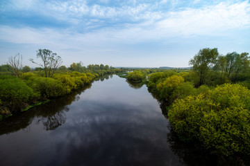 River and trees on calm day. Natural landscape