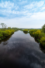 River and trees on calm day. Natural landscape
