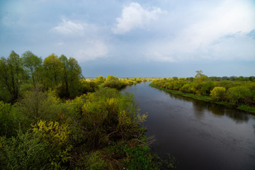 Fototapeta na wymiar River and trees on calm day. Natural landscape