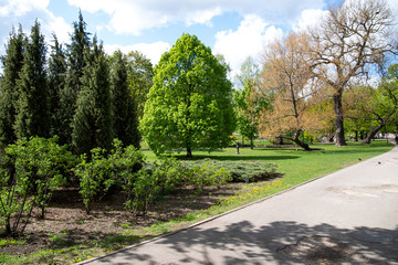 Park in Riga city. Bright and shiny day