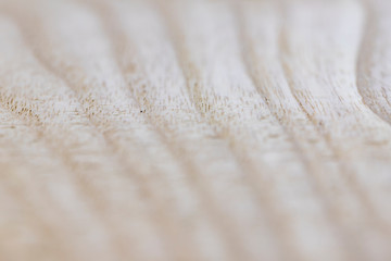 Oak wood slab selective focus close up