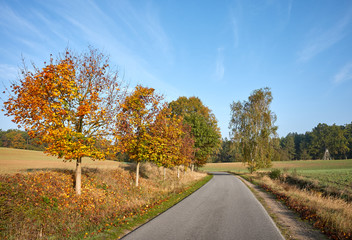 Fototapeta na wymiar Scenic country road in the morning warm sunlight, autumnal landscape.