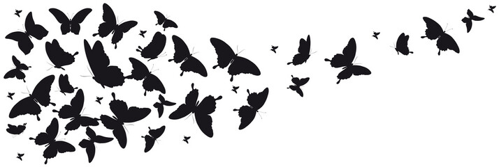 Plakat butterfly370
