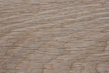Oal wood slab color texture as natural background front view