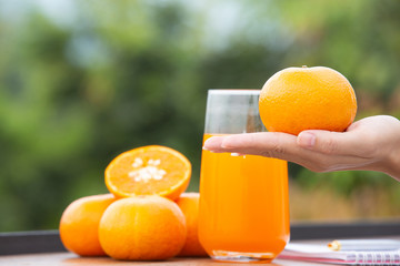 The girl's hand holding an orange fruit in her hand and having a natural background.