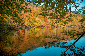 Impressive Autumn Lake View