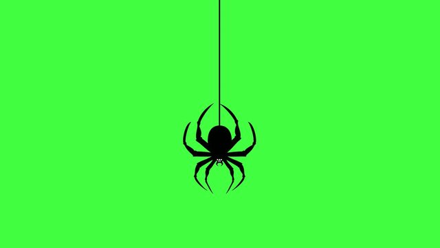 the spider descends and jumps into the screen. the inscription happy Halloween