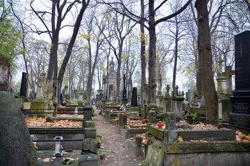 Tombstones and trees at the old cemetery.