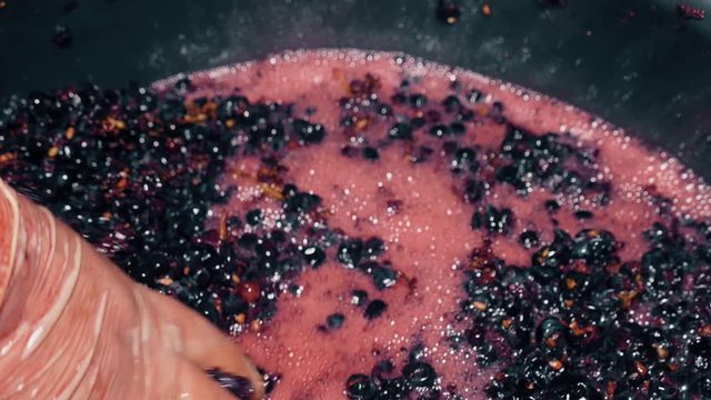 Manual grape separation in a barrel at a winery