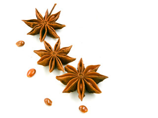 Cinnamon flawers have seeds beside,isolated on a white barkground.