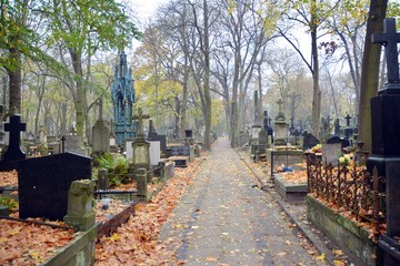 Tombstones and trees at the old cemetery.