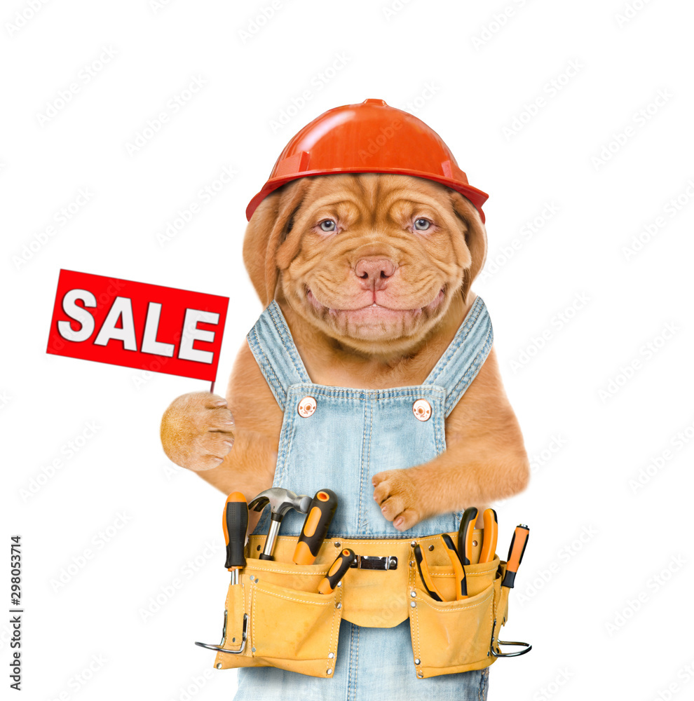 Poster Smiling puppy worker wearing a hardhat and overalls with tool belt holds sales symbol. Isolated on white background