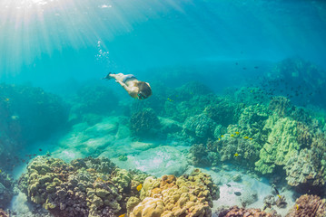Fototapeta na wymiar Woman in bikini snorkeling over reef in ocean