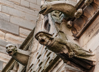 Detail of Paris cathedral