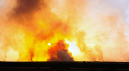 Fototapeta na wymiar fire smoke burning forest in the field