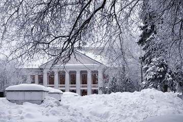 Winter forest landscape. Tall trees under snow cover. January frosty day in the park.