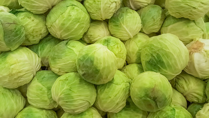 View of several green lombard sprouts on worktop