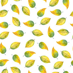 Autumn leaf. Watercolor pattern with leaves on a white background